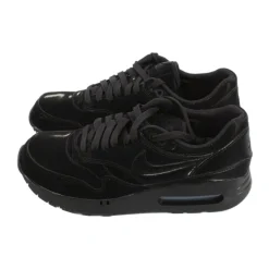 Ari max 1