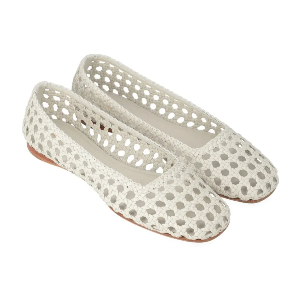 Bailarina Shell