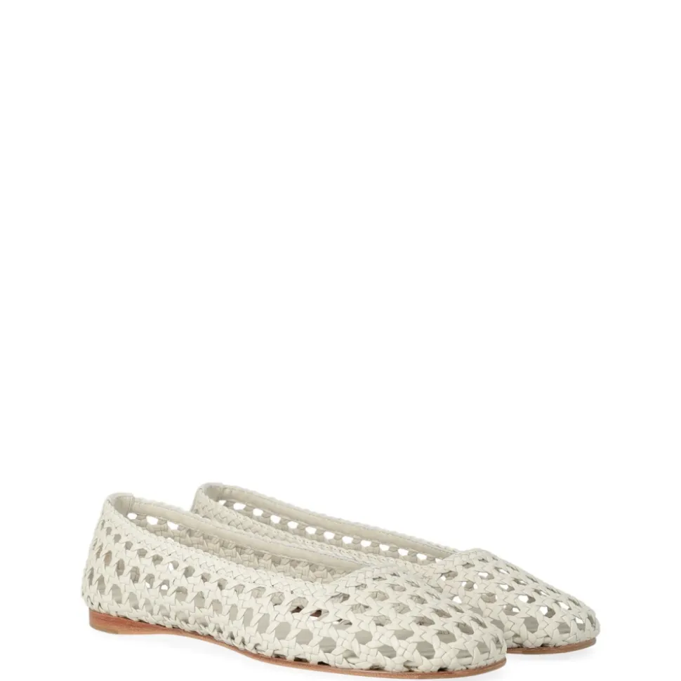 Bailarina Shell