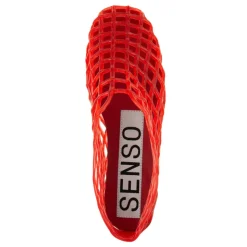 Bailarinas Jellie