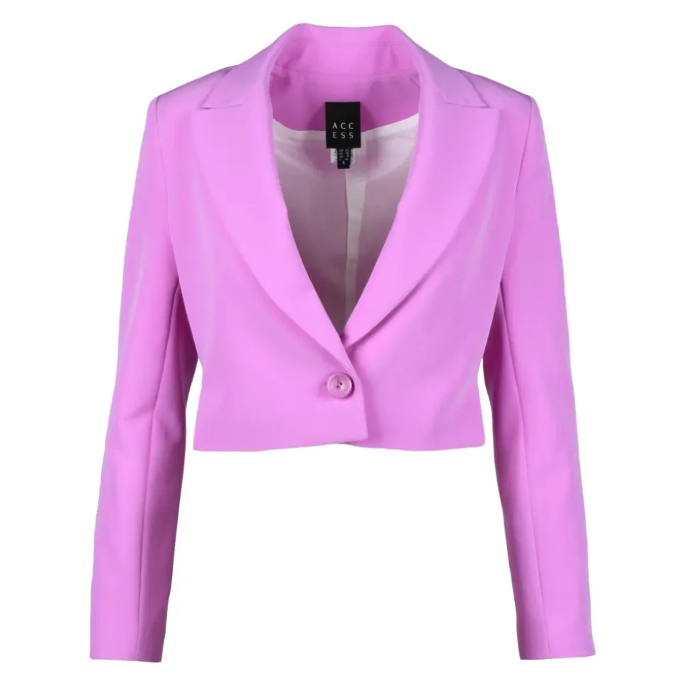 Blazer Chic