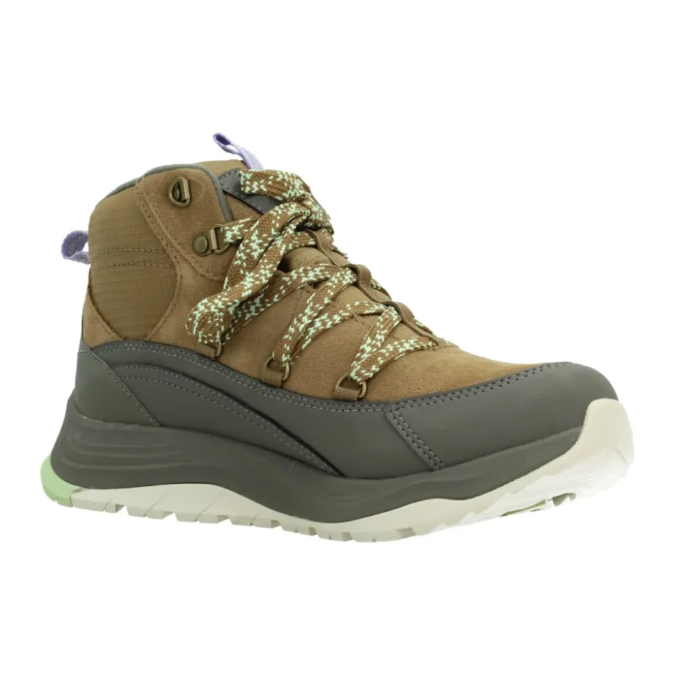 Bota Auroris