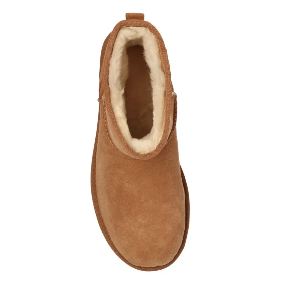 Botas Classic Mini II Chestnut