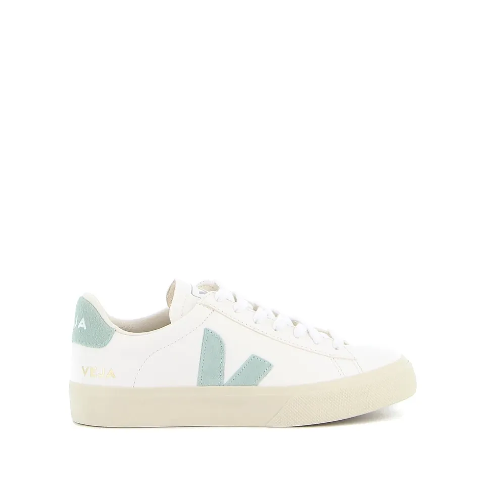 Campo Zapatillas sin cromo