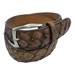 Cinturón de cocodrilo