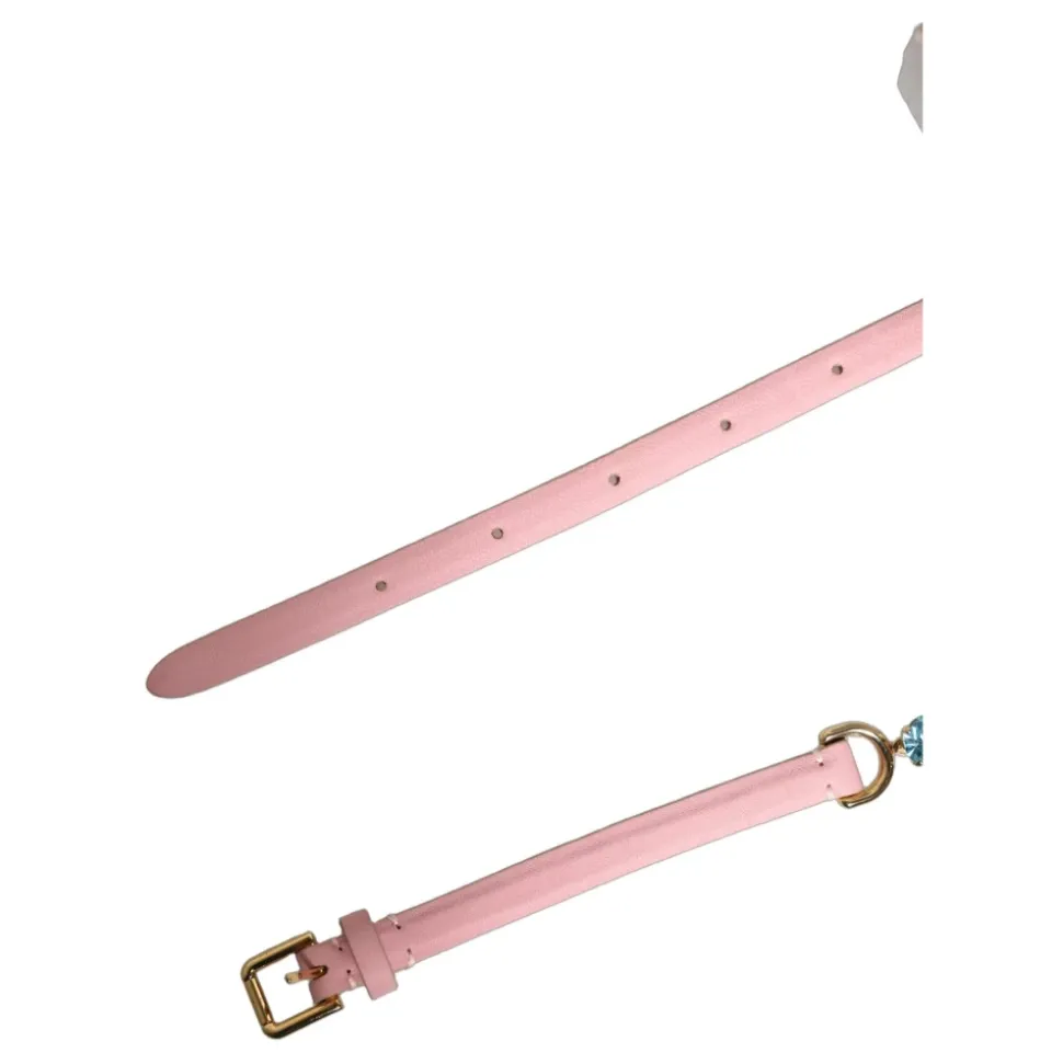Cinturón de Moda