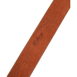 Cinturón de moda