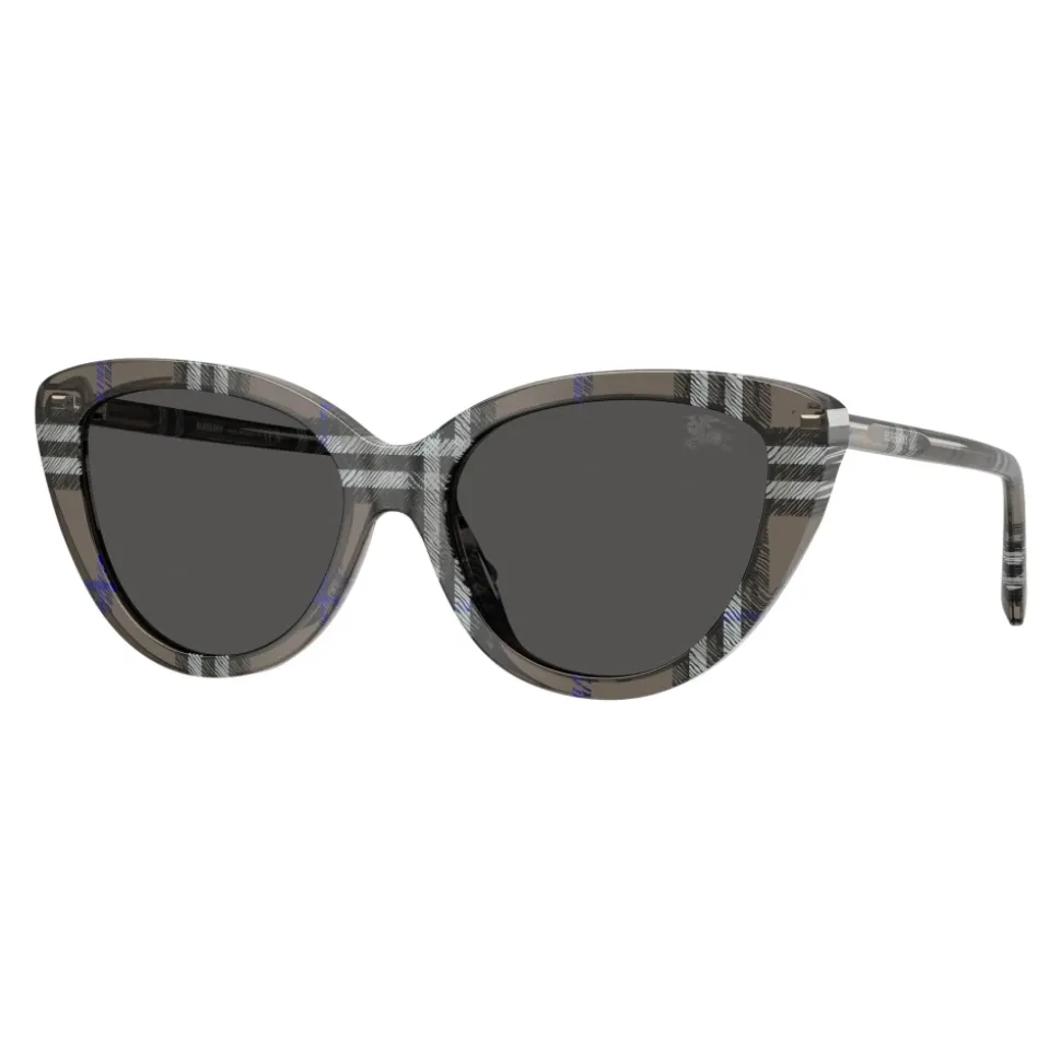Gafas de sol elegantes para mujeres modernas