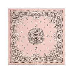 Pañuelo de Seda Paisley