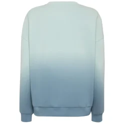 Sudadera con Capucha Oversize Degradado