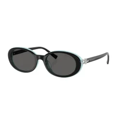 TF4242D 8055S4 Sunglasses