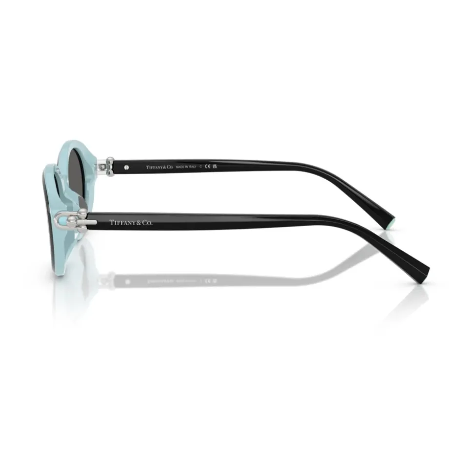 TF4242D 8055S4 Sunglasses