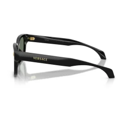 VE4513D Sunglasses