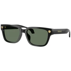 VE4513D Sunglasses