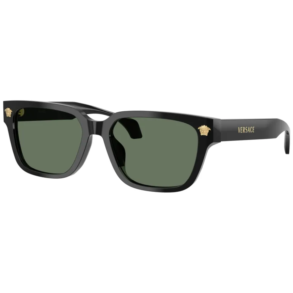 VE4513D Sunglasses