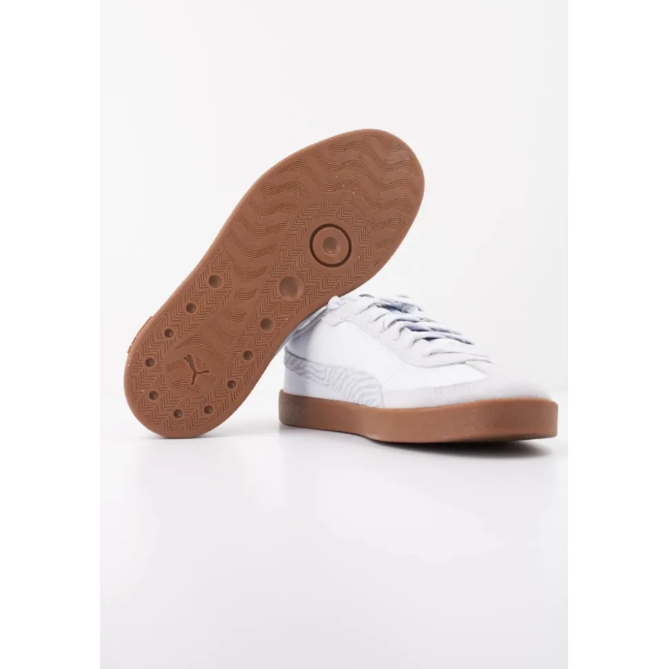 Zapatillas de Skate